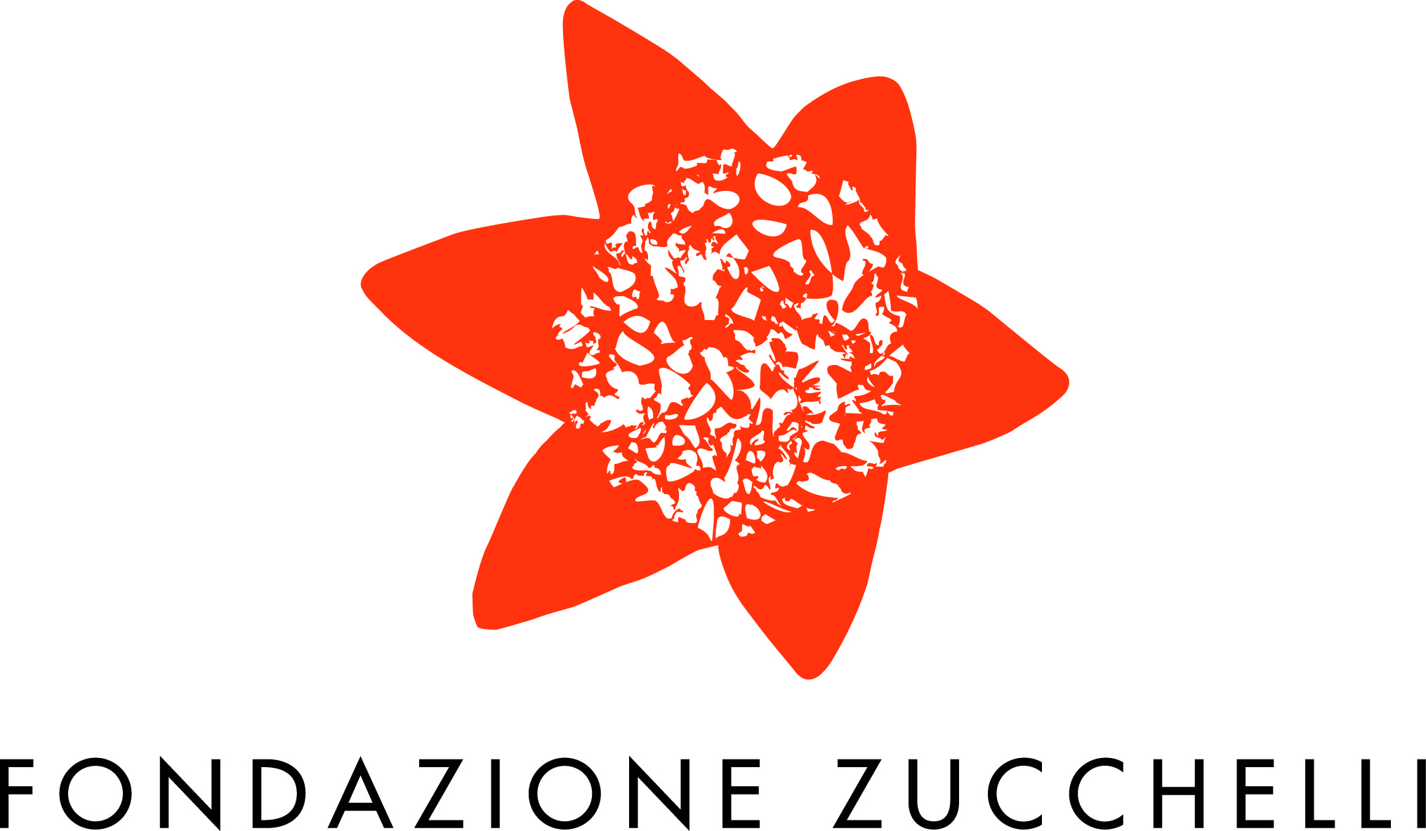 Logo fondazionezucchelli approvato CdA 10-5-13